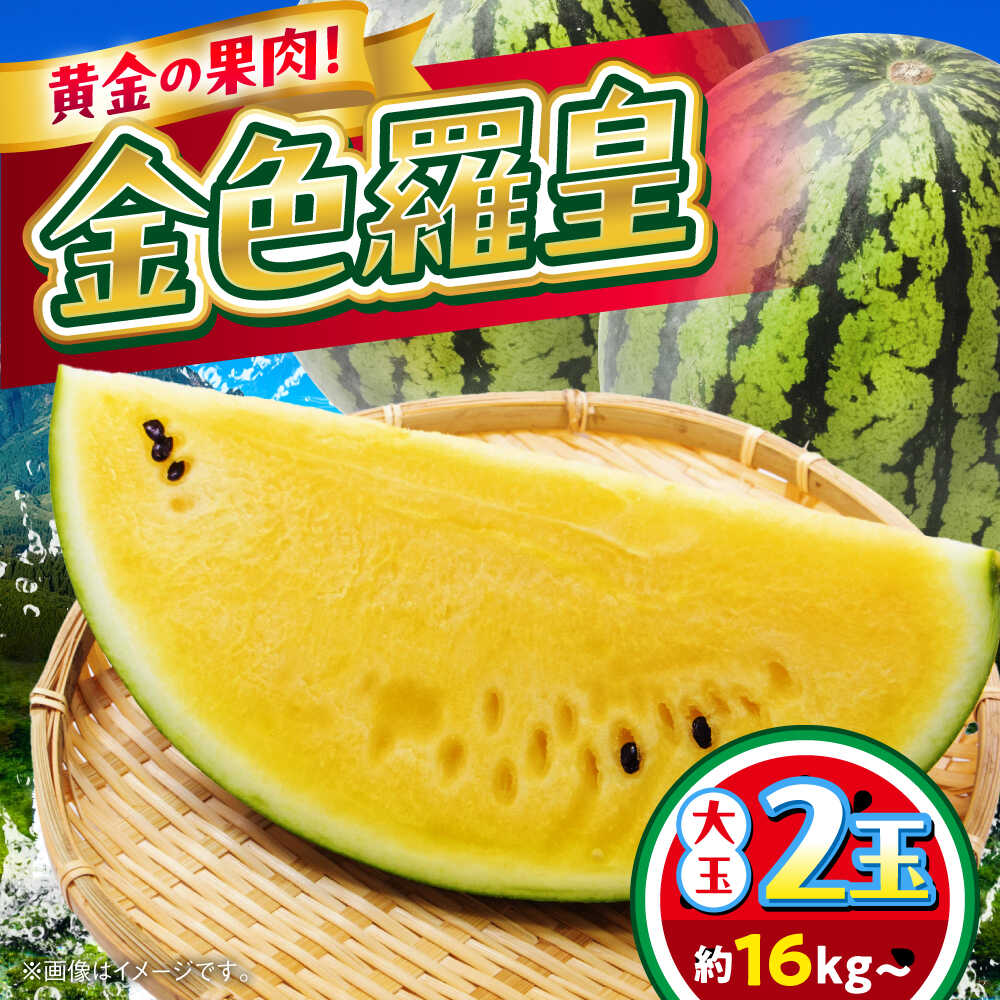 【ふるさと納税】【2026年 先行予約】【数量限定】すいか 金色羅皇 2玉入り 約16kg以上 黄色い スイカ 甘い【日本フルーツ株式会社】[AYDA011]