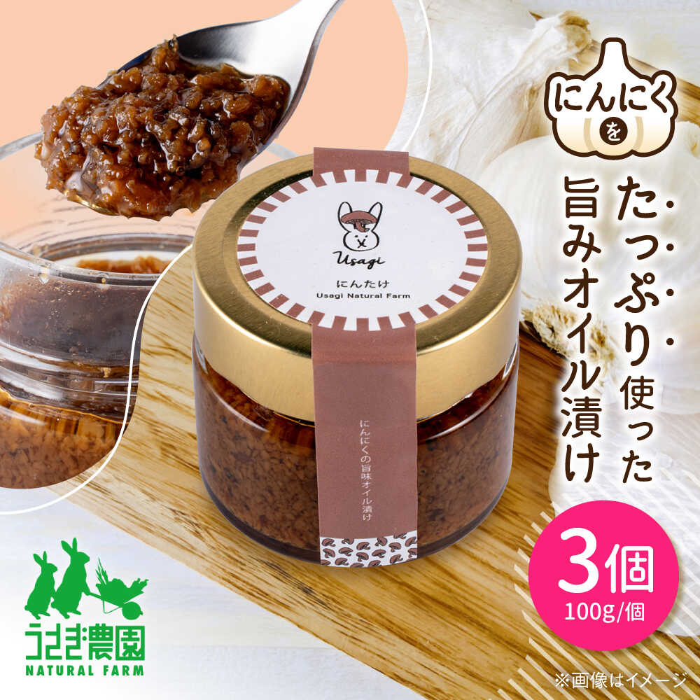 【ふるさと納税】にん茸 にんにくの旨味オイル漬け 3個セット (100g×3個)【うさぎ農園】[AYDJ006]