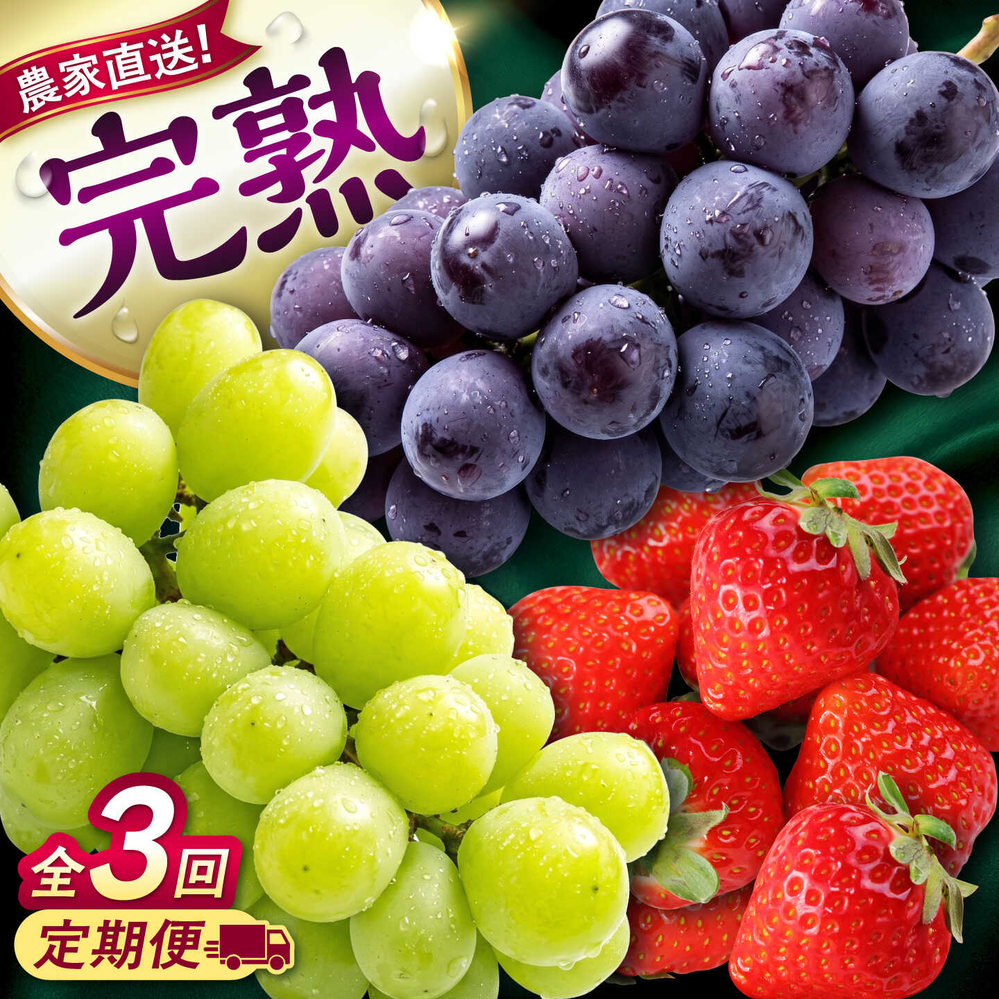 【ふるさと納税】【先行予約】【2026年8月下旬発送開始】【全3回定期便】果物定期便 ピオーネ(約1kg)＆シャインマスカット(約1kg)＆いちご(約500g) 計約2.5kg / 食べ比べ 旬の時期にお届け ぶどう 苺【有限会社 高司農園】[AYDP005]｜熊本県合志市