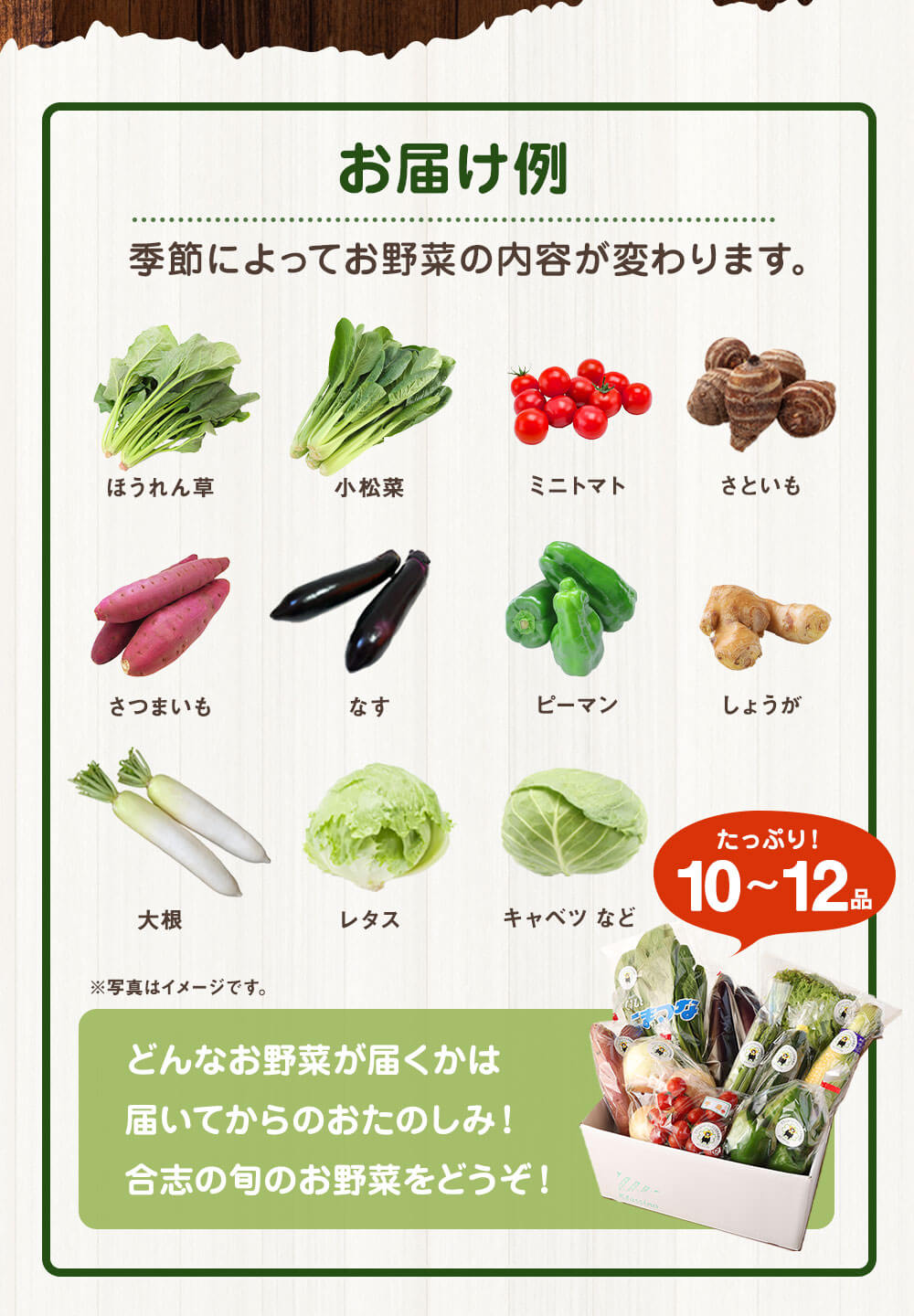 ランキングTOP10 熊本県合志の旬のお野菜定期便 計5回コース 5回 おまかせ 野菜 季節の野菜 新鮮 旬 詰め合わせ 国産 九州産 熊本県 合志市  送料無料 fucoa.cl