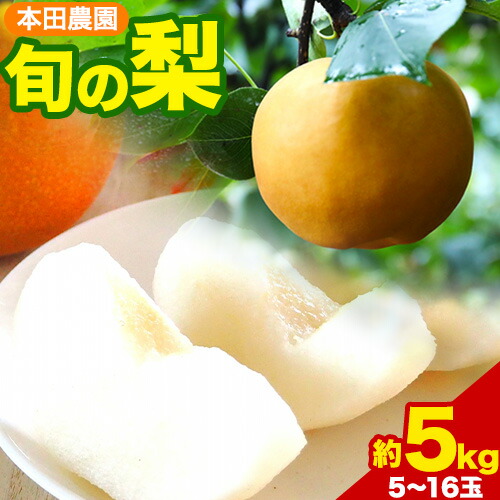 【ふるさと納税】【日付指定不可】『本田農園』旬の梨　約5kg 5~16玉 本田農園《8月下旬-10月上旬頃出荷》 熊本県玉名郡玉東町 梨 なし 果物  旬