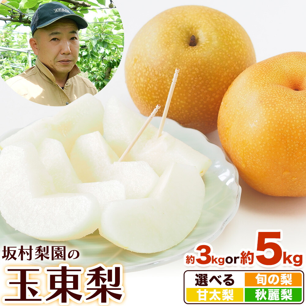 【ふるさと納税】秋 旬 梨 フルーツ 期間限定 坂村梨園 玉東梨 熊本県玉名郡玉東町 選べる 旬の梨 甘太梨 秋麗梨 約3kg(4～10玉前後) 約5kg(5～18玉前後) 梨 なし 果物 旬の梨 スーパーSALE 《8月中旬-11月上旬頃出荷》豊水 秋麗 あきづき 甘太 新高 新興