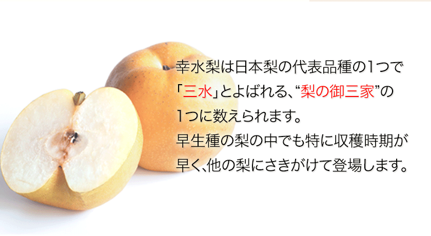 ふるさと納税 嚮後予粗粗 赤梨の実素性の早生もと 濃緑伸苑 の幸水梨 期間定限 正しく約3kg 4 8睾丸前後始め なし 幸水 果物 スイーツ フルーツ デサール スムージー 7月読下旬 8月中旬時機一倍順次差出し Cannes Encheres Com