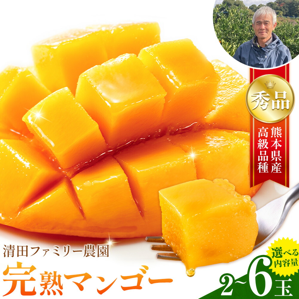 【ふるさと納税】くまもと 完熟 マンゴー 2玉(約800g) 2-3玉(約1kg-1.2kg) 5-6玉(約2kg~2.4kg) 熊本県 玉名 郡 玉東 町 清田ファミリー農園 秀品 フルーツ【日付指定不可】《5月下旬-8月末頃出荷》