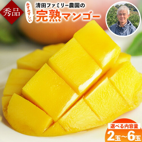 【ふるさと納税】くまもと 完熟 マンゴー 2玉(約800g) 2-3玉(約1kg-1.2kg) 5-6玉(約2kg~2.4kg) 熊本県 玉名 郡 玉東 町 清田ファミリー農園 秀品 フルーツ【日付指定不可】《5月下旬-8月末頃出荷》