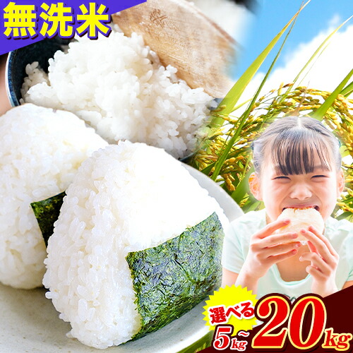 【ふるさと納税】熊本県産 さとほまれ 無洗米 ご家庭用 選べる 5kg 10kg 15kg 20kg 《7-14日以内に出荷予定(土日祝除く)》熊本県 玉名郡 玉東町 米 こめ コメ ブレンド米 送料無料