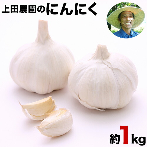 【ふるさと納税】『上田農園』のにんにく約1kg 熊本県玉名郡玉東町『上田農園』にんにく《7月上旬-9月中旬頃出荷》