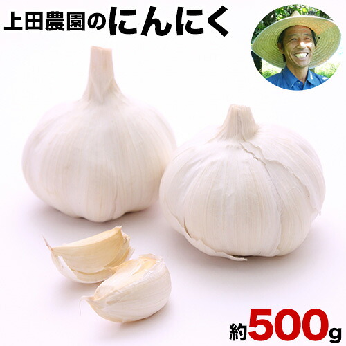 【ふるさと納税】『上田農園』のにんにく約500g 熊本県玉名郡玉東町『上田農園』にんにく《7月上旬-9月中旬頃出荷》