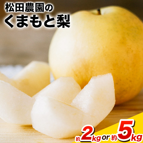 【ふるさと納税】秋 旬 梨 期間限定 【日付指定不可】梨 『松田農園』の くまもと 梨 たっぷり 約2kg 5-7玉前後 約5kg 8-18玉前後 熊本県玉名郡玉東町『松田農園』なし  果物 スイーツ フルーツ デザート スムージー 《7月下旬-9月末頃出荷》 先行予約 SDG`s