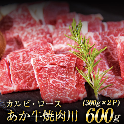 600g カルビ ロース 焼肉用 あか牛 熊本の和牛 あか牛 肉 牛肉 和牛 0 6kg熊本県産 300g 2 ふるさと納税 精肉 肉加工品 牛肉 熊本県 赤牛 あかうし 一頭買い 30日以内に順次出荷 土日祝除く 熊本県玉東町ふるさと納税 玉名郡 玉東町 肉 あか牛 赤牛 焼き肉