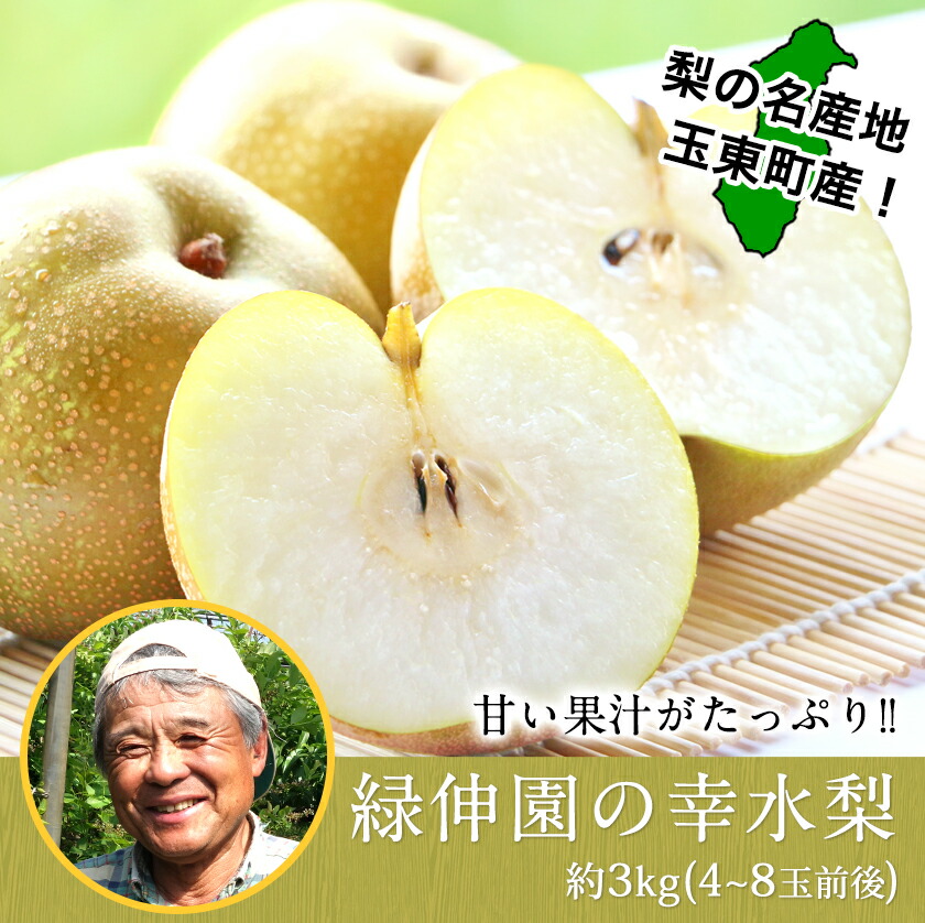 ふるさと納税 後予およそ 赤梨の実組立の早生穀粒 緑伸庭 の幸水梨 ピリオド節する 大きに約3kg 4 8宝珠前後滑出し なし 幸水 果物 スイーツ フルーツ 砂海 スムージー 7月明り下旬 8月中旬ときより順次積みだし Restaurant Valentino De