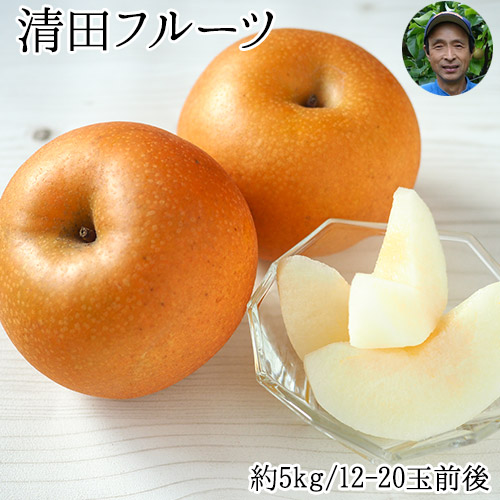 【ふるさと納税】フルーツ 梨  清田 フルーツ 豊水 梨 約5kg (12-20玉前後) 熊本 県 玉名 郡 玉東 町 梨 なし 果物 フルーツ《8月中旬-8月末頃出荷》