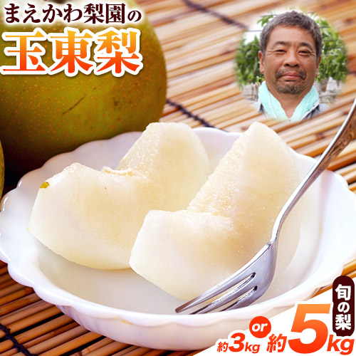 【ふるさと納税】まえかわ梨園の玉東梨 熊本県玉東町産約3kg（6-8玉前後）または 約5kg（6-16玉前後） 果物 スイーツ フルーツ  《8月中旬-9月下旬頃出荷》