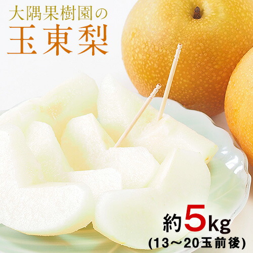 【ふるさと納税】大隅果樹園の玉東梨(旬の品種をお届けします) 約5kg(13-20玉前後) 予約受付中 フルーツ 秋 旬 熊本県玉名郡玉東町 《8月中旬-9月上旬頃出荷》