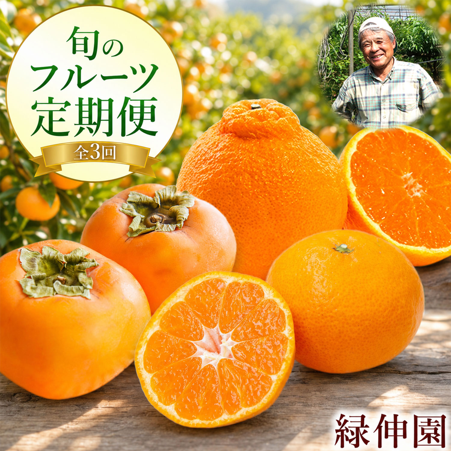 【ふるさと納税】【先行予約】『緑伸園』全3回 旬のフルーツ 定期便 みかん 5kg 柿 2.5kg 不知火 2.5kg 頒布会 《2026年9月下旬-2027年1月下旬頃出荷》 期間限定 予約受付中 熊本県玉名郡玉東町産 果物 スイーツ フルーツ デザート｜熊本県玉東町