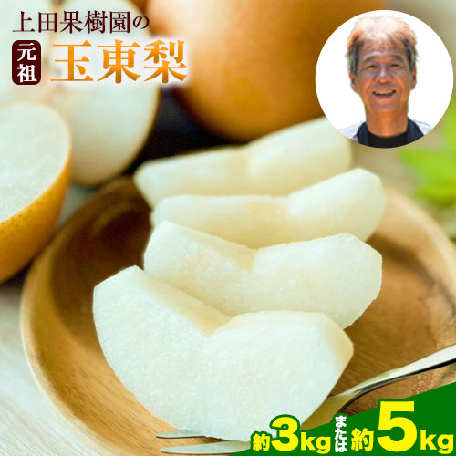 【ふるさと納税】梨 なし フルーツ 旬の梨 上田果樹園の元祖！玉東梨(旬の品種をお届けします) 選べる 約3kg 約5kg 熊本県玉名郡玉東町 なし 果物 スイーツ デザート 《7月下旬-9月下旬頃出荷》