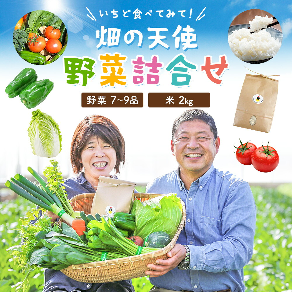 【ふるさと納税】野菜 詰合せ 7～9品 米 2kg 定期便 《出荷時期をお選びください》 畑の天使 いちど食べてみて「畑の天使」野菜 米 安全安心 おまかせ 詰め合わせ セット 旬の野菜 ボリューム 季節 生産者 フレッシュ サラダ 送料無料 熊本県 南関町｜熊本県南関町 92,675円
