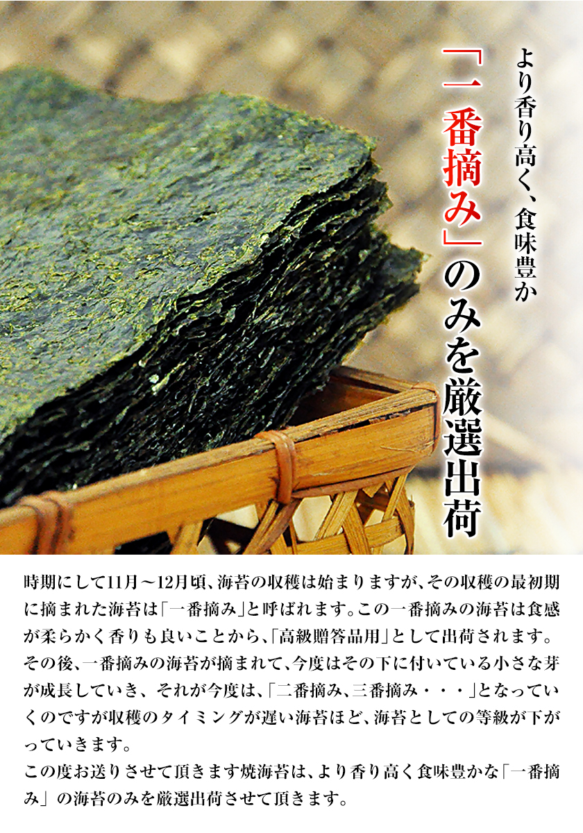 市場 ふるさと納税 熊本県産 訳あり一番摘み有明海産海苔40枚 有明海産 6ヶ月定期便