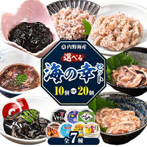 【ふるさと納税】 塩辛 あみ漬け 内野海産の海の幸セット 選べる 10個入り 20個入り あみ漬  いか  海苔 佃煮 塩辛 いかすみ 海苔 のり《45日以内に出荷予定(土日祝除く)》 魚介 海産物 魚