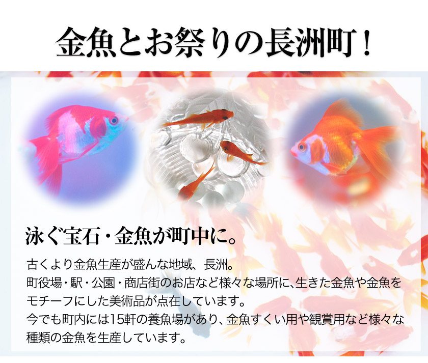 楽天市場 ふるさと納税 金魚もなか 10個 的ばかい 10個 セット お菓子のよね村 30日以内に順次出荷 土日祝除く 熊本県長洲町