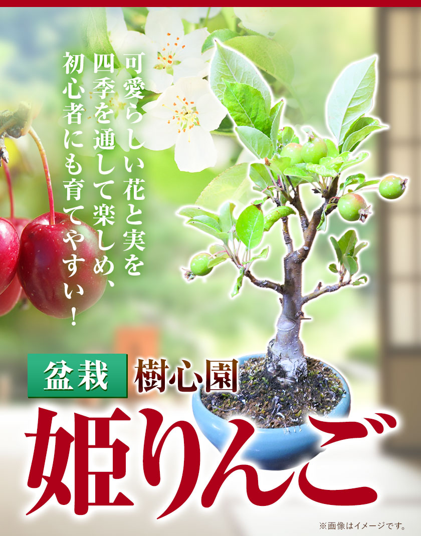 人気商品 石目焼 鮫肌蝶草花文花瓶 中古 アンティーク U4052 送料無料 Fucoa Cl