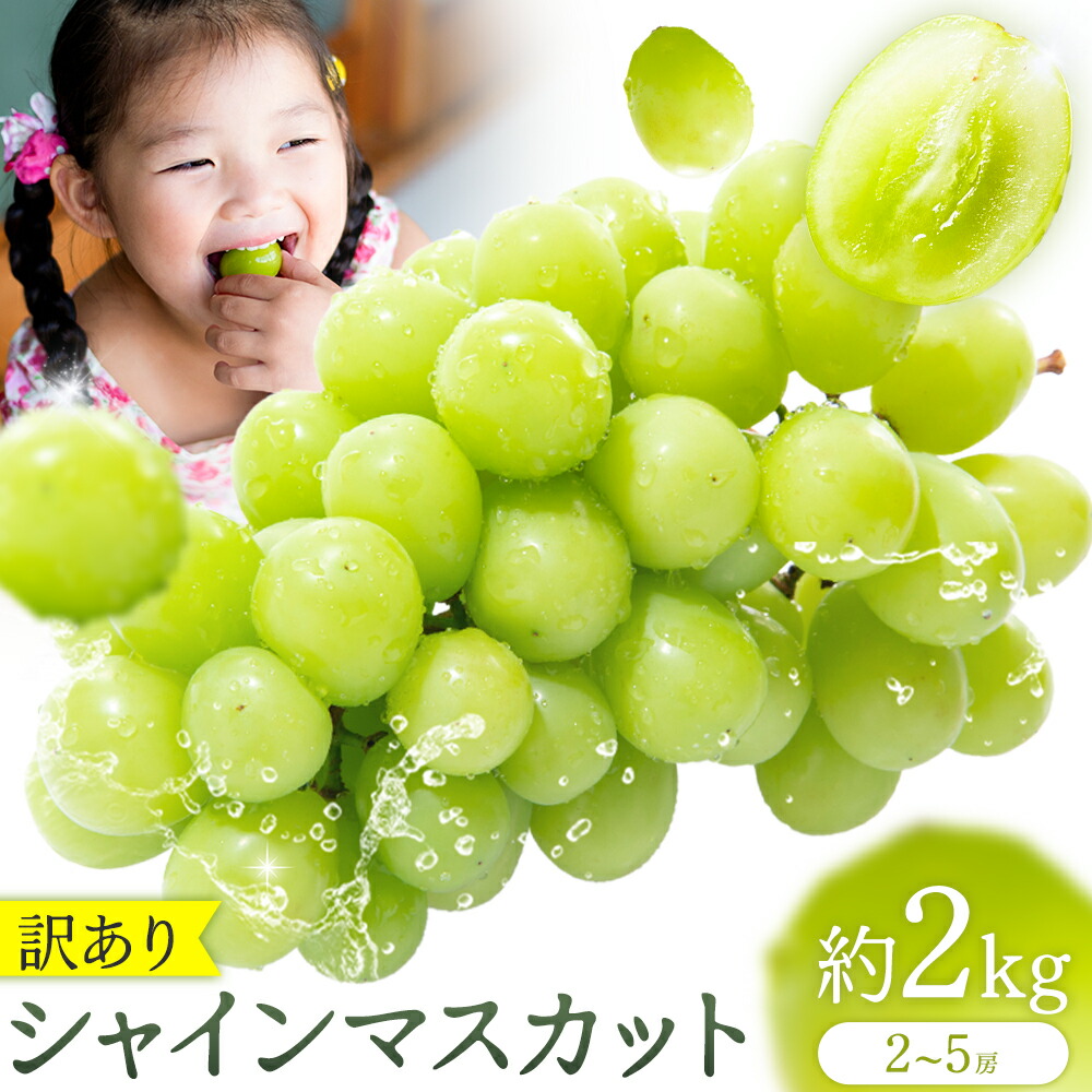 【ふるさと納税】先行予約 訳あり シャインマスカット 約 2kg 2~5房 小川果樹園《2026年 8月下旬-9月上旬頃出荷》 フルーツ ぶどう 葡萄 ブドウ シャイン マスカット 皮ごと ご家庭用 果物 熊本県 長洲町