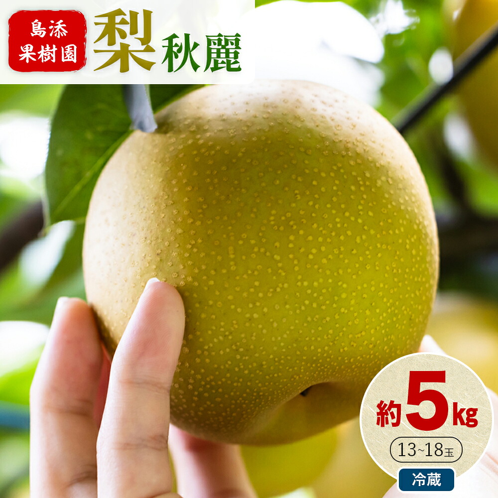 【楽天市場】【ふるさと納税】梨 5kg 秋麗 旬 なし 果物 くだもの フルーツ 送料無料 熊本県産 島添果樹園《2025年8月中旬‐9月中旬 ...