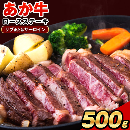 【ふるさと納税】あか牛（褐毛和種）ロースステーキ (リブまたはサーロイン) 250g&times;2 500g 熊本県産 肉 和牛 牛肉 赤牛 あかうし リブロース サーロイン 冷凍 《30日以内に出荷予定(土日祝除く)》送料無料｜熊本県長洲町
