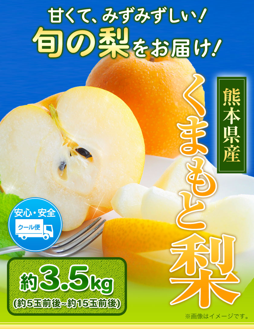 【ふるさと納税】【先行予約】熊本県産くまもと梨約3.5kg5玉〜15玉前後期間限定フルーツ果物予約スイーツ梨熊本県長洲町クール便《30日以内に順次出荷(土日祝除く)》