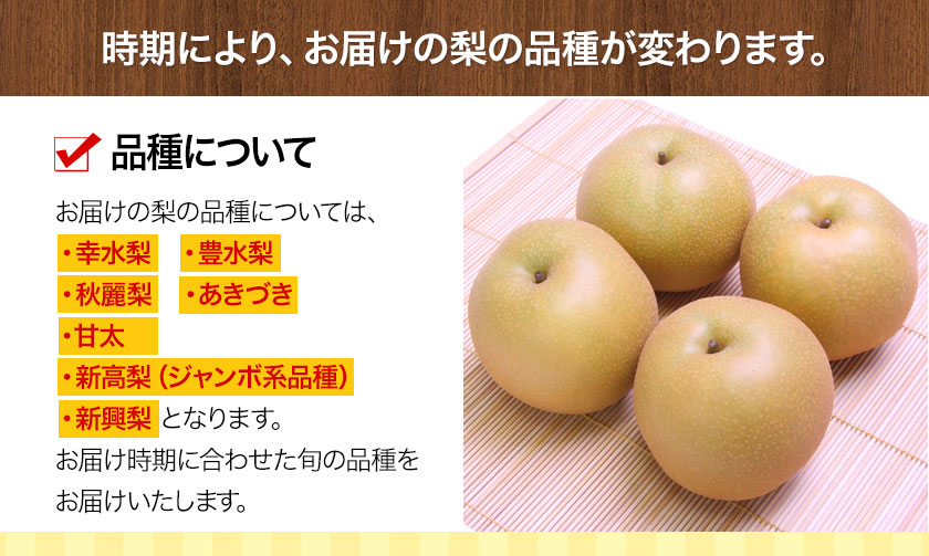 【ふるさと納税】【先行予約】熊本県産くまもと梨約3.5kg5玉〜15玉前後期間限定フルーツ果物予約スイーツ梨熊本県長洲町クール便《30日以内に順次出荷(土日祝除く)》