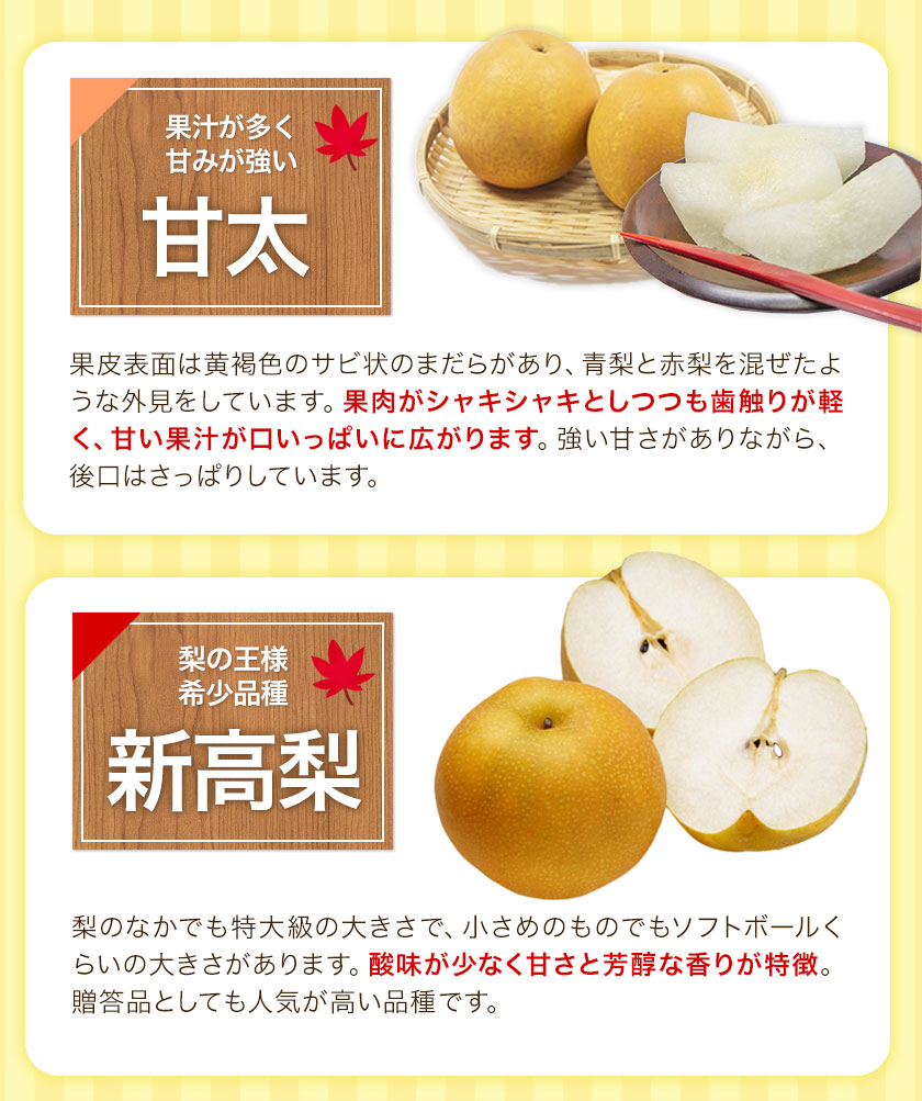 【ふるさと納税】【先行予約】熊本県産くまもと梨約3.5kg5玉〜15玉前後期間限定フルーツ果物予約スイーツ梨熊本県長洲町クール便《30日以内に順次出荷(土日祝除く)》