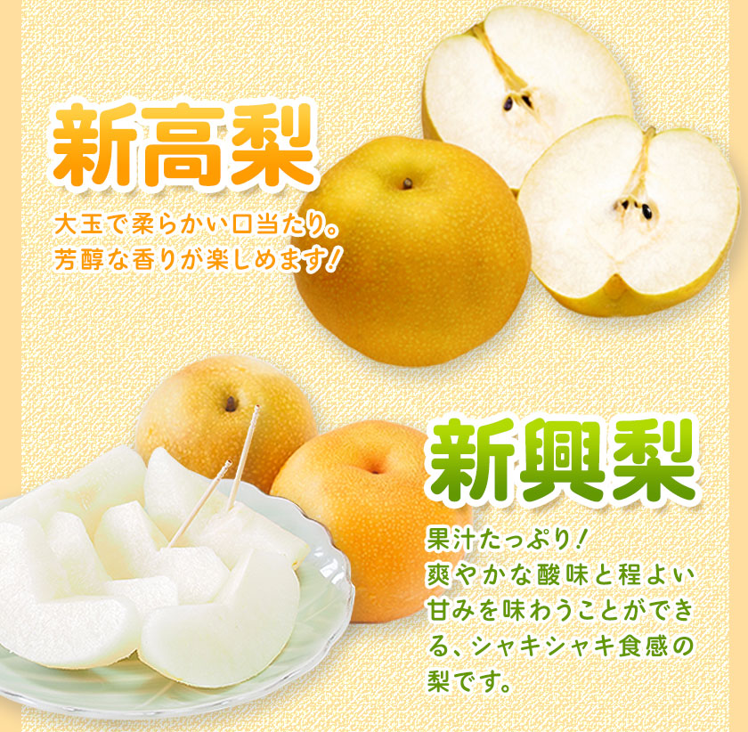 【ふるさと納税】【先行予約】熊本県産くまもと梨約3.5kg5玉〜15玉前後期間限定フルーツ果物予約スイーツ梨熊本県長洲町クール便《30日以内に順次出荷(土日祝除く)》