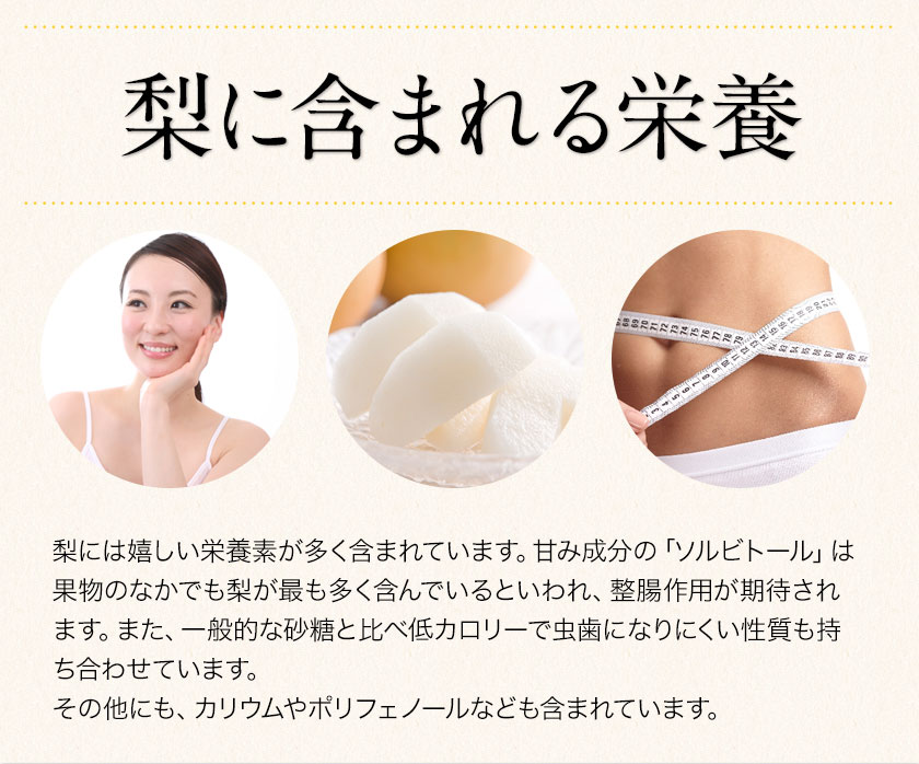 【ふるさと納税】【先行予約】熊本県産くまもと梨約3.5kg5玉〜15玉前後期間限定フルーツ果物予約スイーツ梨熊本県長洲町クール便《30日以内に順次出荷(土日祝除く)》