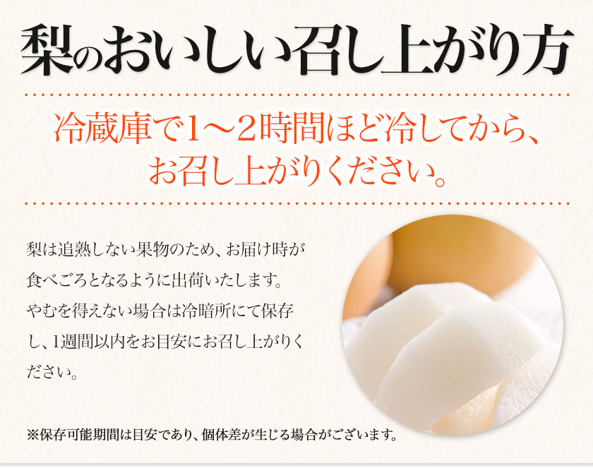 【ふるさと納税】【先行予約】熊本県産くまもと梨約3.5kg5玉〜15玉前後期間限定フルーツ果物予約スイーツ梨熊本県長洲町クール便《30日以内に順次出荷(土日祝除く)》