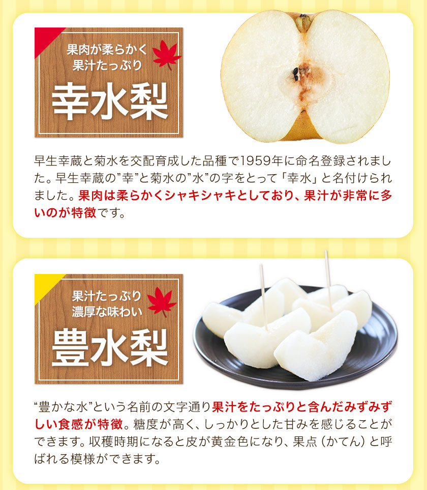【ふるさと納税】【先行予約】熊本県産くまもと梨約3.5kg5玉〜15玉前後期間限定フルーツ果物予約スイーツ梨熊本県長洲町クール便《30日以内に順次出荷(土日祝除く)》