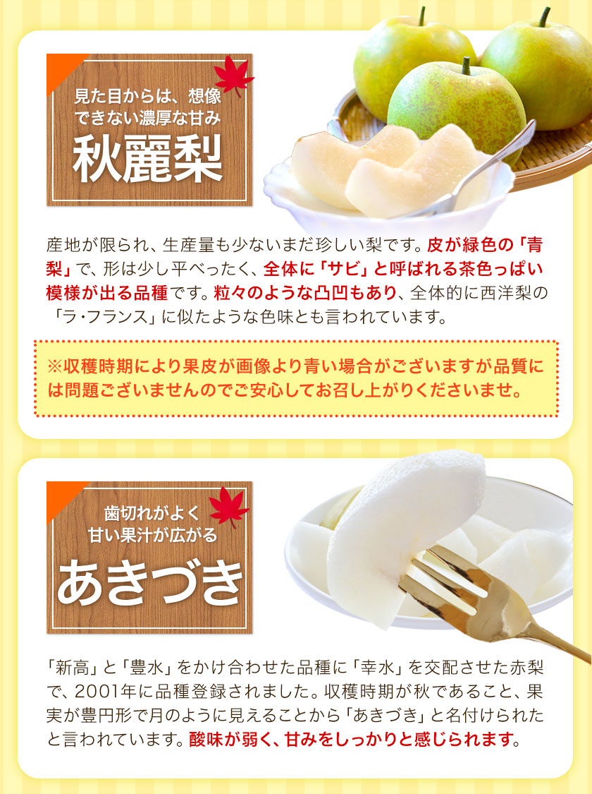 【ふるさと納税】【先行予約】熊本県産くまもと梨約3.5kg5玉〜15玉前後期間限定フルーツ果物予約スイーツ梨熊本県長洲町クール便《7月末‐9月中旬頃より順次発送》