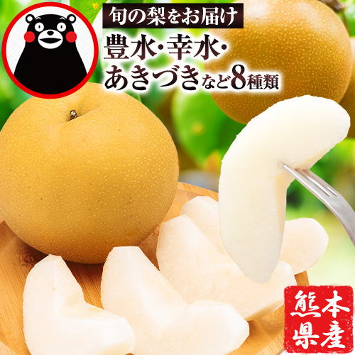 【ふるさと納税】【2025年 先行予約 】梨 くまもと梨 秋 旬 なし 幸水 豊水 先行 果物 くだもの フルーツ ナシ  送料無料 あきづき 甘太 新高 新興 約3.5kg 5玉～15玉前後 熊本県産【着日指定不可】《2025年8月下旬‐11月中旬頃より順次発送》旬 果物 お取り寄せ