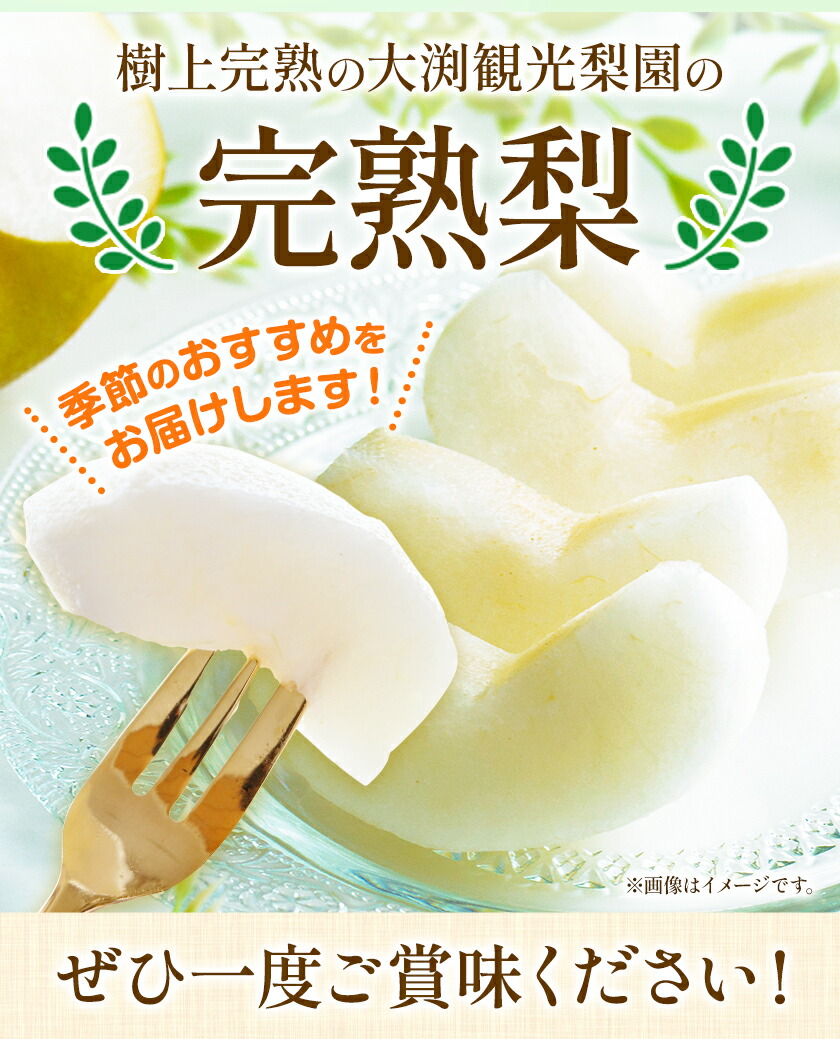 大渕観光梨園 完熟梨 8 18玉 9月上旬 11月下旬頃より順次出荷 フルーツ あきづき なし のいずれか 新興梨 新高梨 梨 熊本県長洲町産 約5kg 高品質 あきづき