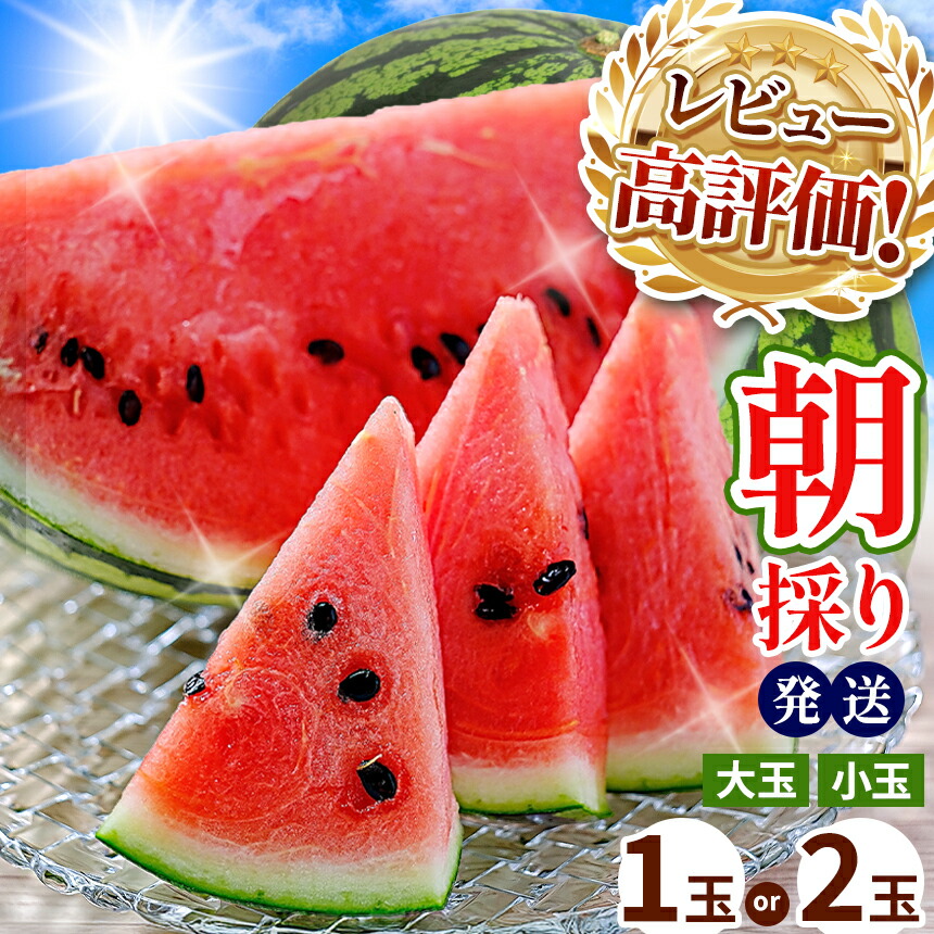 【ふるさと納税】 大好評 出荷中！ ★4.6以上 大玉 小玉 スイカ 1玉 2玉 すいか 【 2025年4月中旬～6月末頃まで順次発送 】西瓜 果物 フルーツ 国産 熊本県 和水町 くまもと 産地直送 甘い 夏のフルーツ 農家直送 石原農園美味 朝摘み 野菜 一大産地 産地直 オススメ