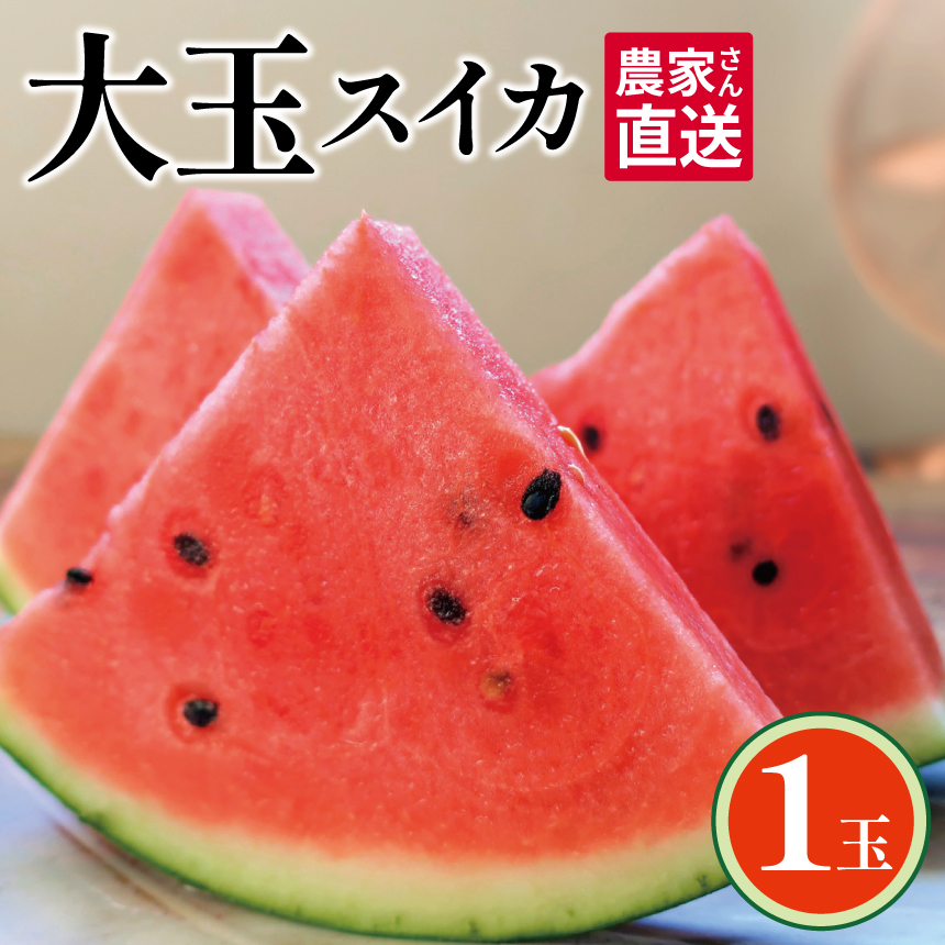 【ふるさと納税】 出荷中 ! 大玉 スイカ 1玉 【 2025年5月頃～6月末頃まで順次発送 】すいか スイカ 果物 フルーツ 大玉 国産 熊本県 和水町 西瓜 大玉くまもと | 生産量 日本一 熊本県 夏の定番 オススメ 高評価 ふるさと納税 人気 夏 果物 suika watermelon
