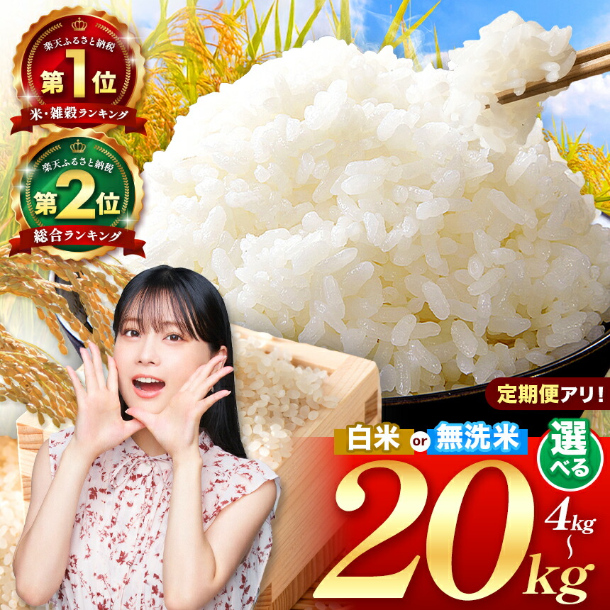 【ふるさと納税】 【 R6年産米 順次発送 or R7年産 新米予約  】 熊本県産 訳あり くまもとの無洗米 or 応援米 白米 or ほたるの灯り 無洗米 or くまさんの輝き 無洗米 | 4kg ～ 20kg 米 こめ 単一米 ブランド米 特A 獲得地域 オススメ 人気小分け定期 |  新米 即納 日本遺産