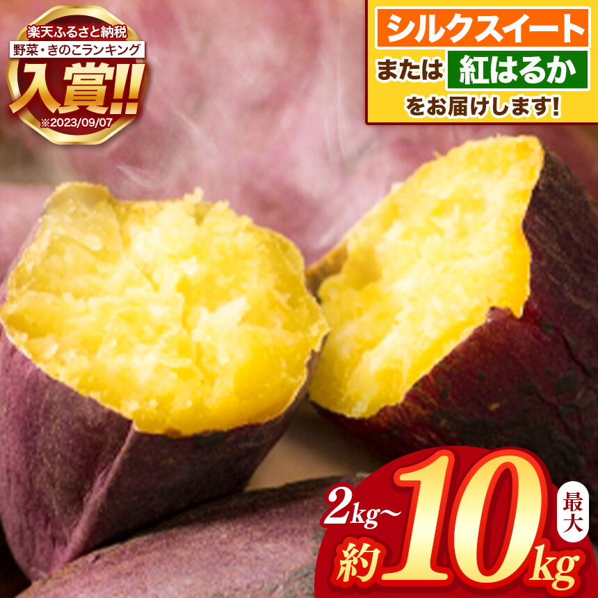【ふるさと納税】 【 先行予約 2025年9月頃発送予定 】 さつまいも ( 蜜芋 )  約 2kg ～ 10kg 密芋 シルクスイート or 紅はるか 野菜 大容量 国産 熊本県 和水町　訳あり くまもと県 甘藷 からいも サツマイモ かんしょ 芋 大小混合 サイズ混合 傷 スレ 食物繊維豊富