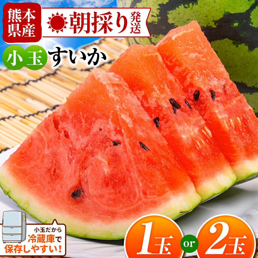 【ふるさと納税】 出荷中！ 小玉 スイカ 1玉 2玉 すいか 西瓜 果物 フルーツ 国産 熊本県 和水町【 2025年4月中旬～6月末頃まで順次発送 】 くまもと シャキシャキ 産地直送 甘い 夏のフルーツ 農家直送 美味 朝摘み 野菜 一大産地 産地直送 オススメ
