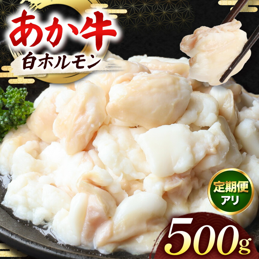 【ふるさと納税】あか牛 白 ホルモン 500g ( 250g×2パック ) 単品 定期便 | 馬肉 馬 肉 赤身 馬刺し うま 刺身 小間切れ 大容量 冷凍 肉 にく ニク 熊本県 和水町