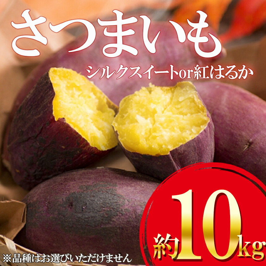 さつまいも ( 蜜芋 ) 約10kg( 5kg × 2箱 )予約受付 密芋 シルクスイート 紅はるか 野菜 大容量 国産 熊本県 和水町 訳あり くまもと県 甘藷 からいも サツマイモ かんしょ 芋 大小混合 サイズ混合 傷 スレ 食物繊維豊富