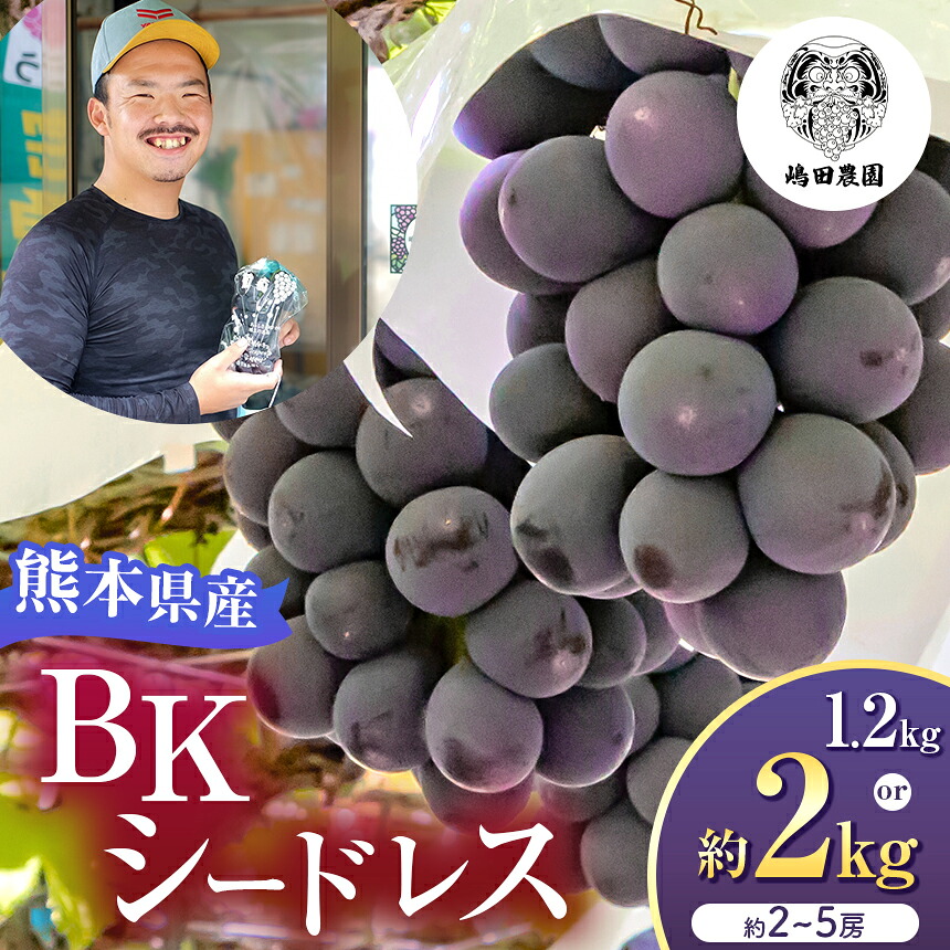 【ふるさと納税】【 先行予約 】選べる内容量 BKシードレス 約1.2kg or 約2kg 熊本県和水町産 | 熊本県 熊本 和水町 くまもと なごみまち なごみ ぶどう ブドウ 葡萄 巨峰 種あり 果物 季節限定 フルーツ 季節の果物 朝摘み 直送｜熊本県和水町