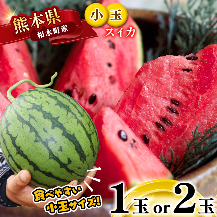 【ふるさと納税】  小玉スイカ 1玉 2玉 すいか 【 2025年（令和7年）4月中旬～6月末頃まで順次出荷 】 西瓜 果物 フルーツ 国産 熊本県 和水町 くまもと 産地直送 甘い 夏のフルーツ 農家直送 石原農園美味 朝摘み 野菜 一大産地 産地直 オススメ