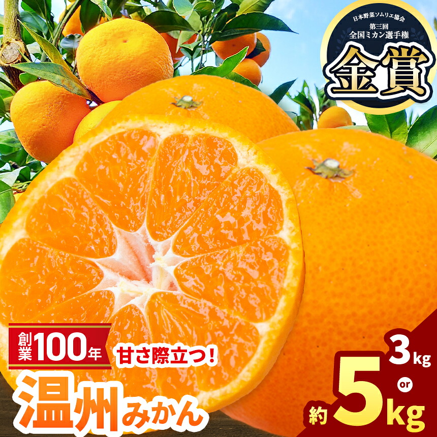 中国古銭 大型 厚重 民国年月 解県 銀元寶 銀錠 馬蹄銀 重さ:407g