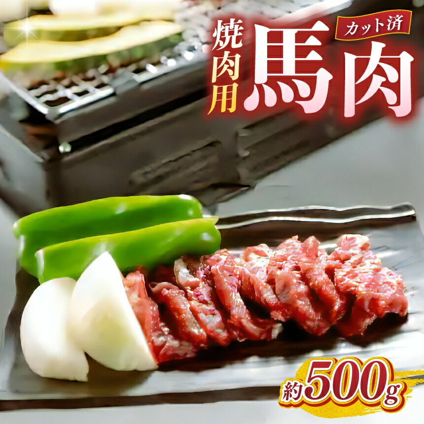 【ふるさと納税】馬肉 焼肉用 500g カット済 | 熊本県 熊本 くまもと 和水町 なごみまち なごみ 馬肉 馬刺し セット 赤身馬刺し 冷凍 ブロック 真空パック|熊本県和水町