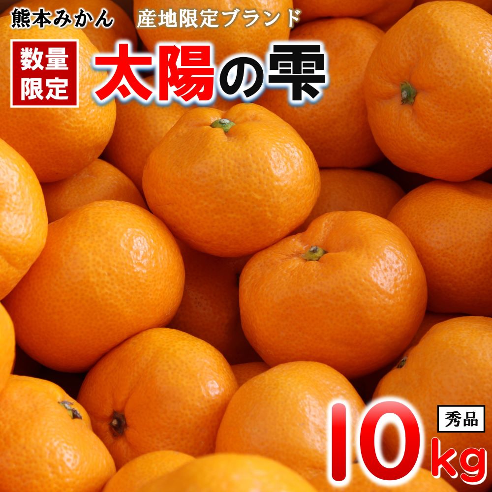 楽天市場】【ふるさと納税】【訳あり】先行予約 期間限定 温州みかん 和水町産 ご家庭用 10kg キズ 傷 スレ 大小混合 フードロス 農家支援  災害支援 果物 冬 家庭用 フルーツ 柑橘 SDGｓ 食品 送料無料 7000円 10キロ : 熊本県和水町